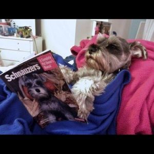 Meet your Posher, Rickie